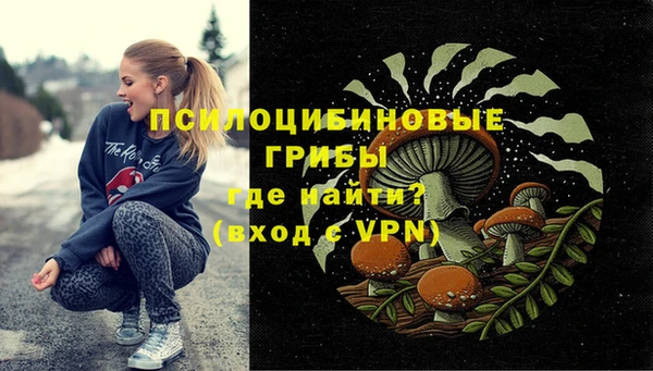 альфа пвп Армянск