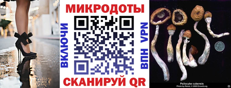 mega ссылка  Ряжск  Галлюциногенные грибы ЛСД  где продают  