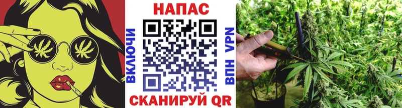Конопля Bruce Banner  наркошоп  Ряжск 